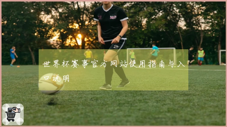 世界杯赛事官方网站使用指南与入口说明