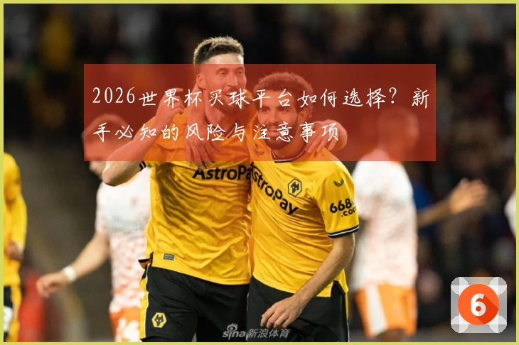 2026世界杯买球平台如何选择？新手必知的风险与注意事项