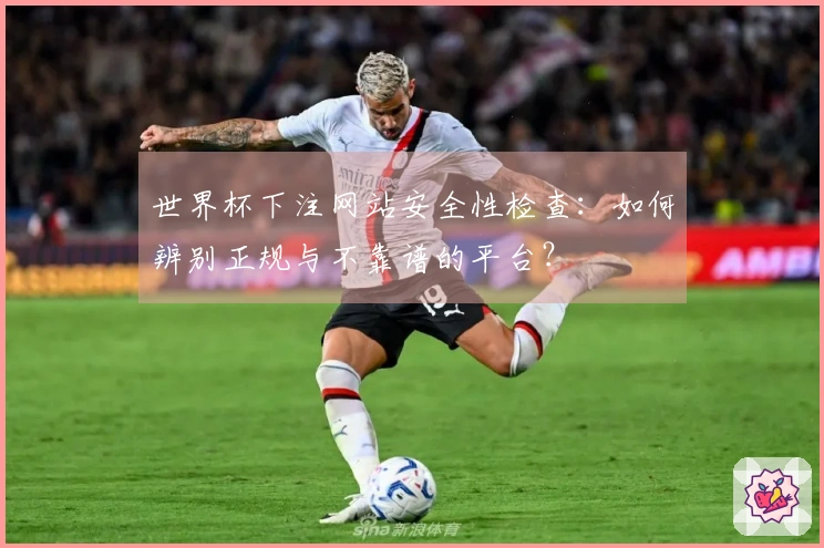 世界杯下注网站安全性检查：如何辨别正规与不靠谱的平台？