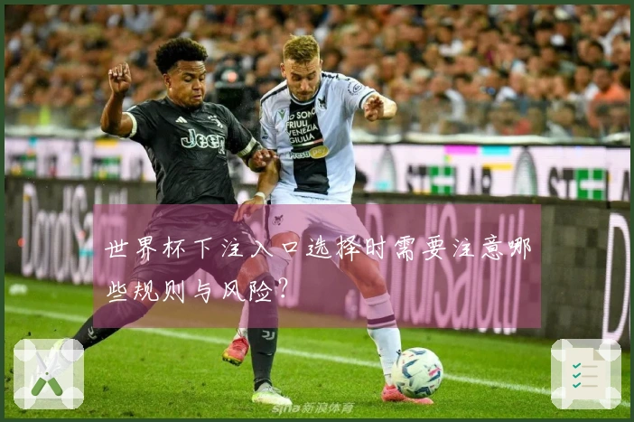 世界杯下注入口选择时需要注意哪些规则与风险？