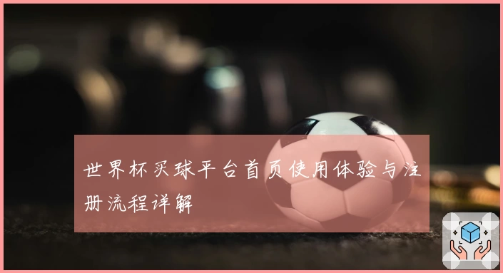 世界杯买球平台首页使用体验与注册流程详解