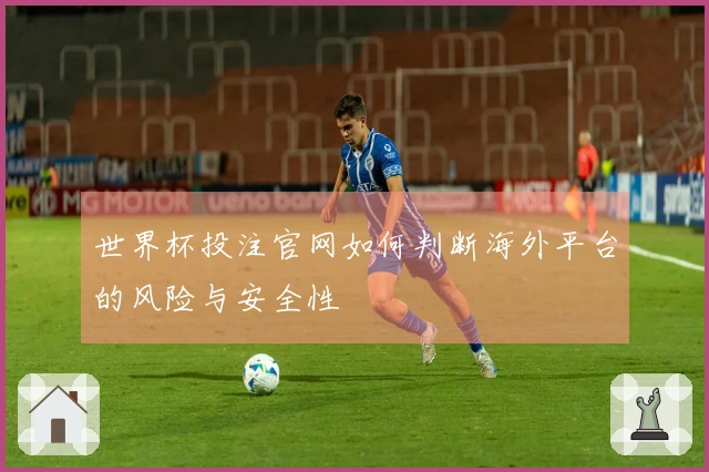 世界杯投注官网如何判断海外平台的风险与安全性