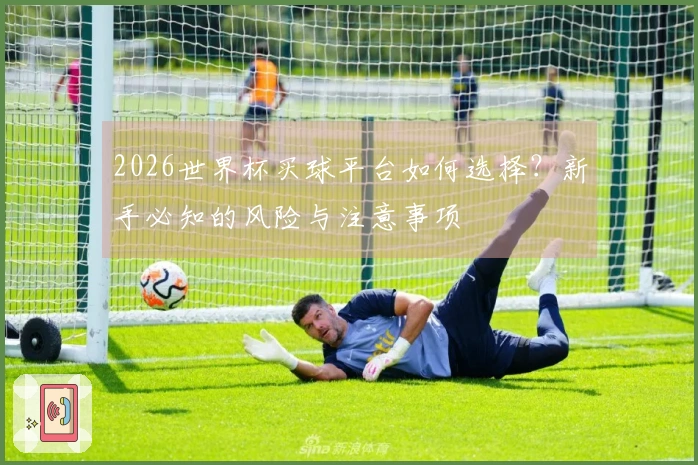 2026世界杯买球平台如何选择？新手必知的风险与注意事项