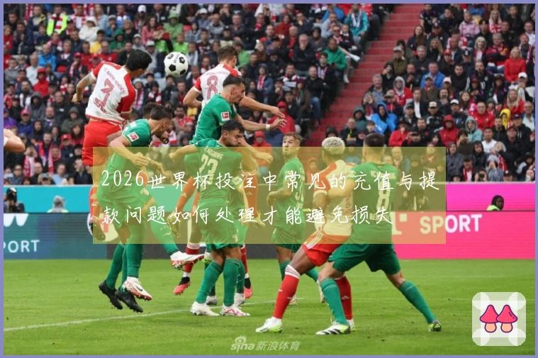 2026世界杯投注中常见的充值与提款问题如何处理才能避免损失