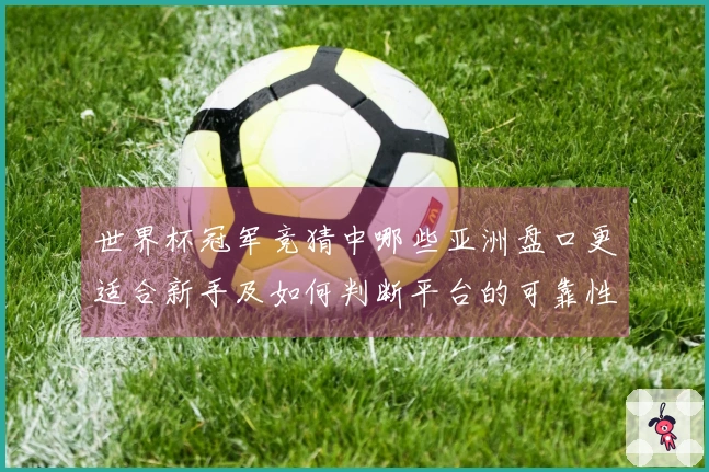 世界杯冠军竞猜中哪些亚洲盘口更适合新手及如何判断平台的可靠性