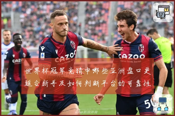 世界杯冠军竞猜中哪些亚洲盘口更适合新手及如何判断平台的可靠性