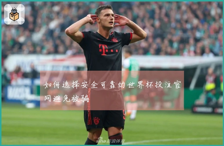 如何选择安全可靠的世界杯投注官网避免被骗