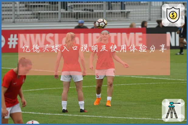 亿德买球入口说明及使用体验分享